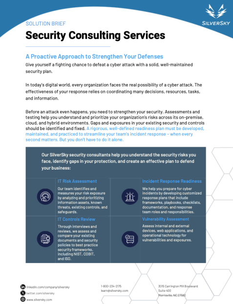 Security Consulting Services